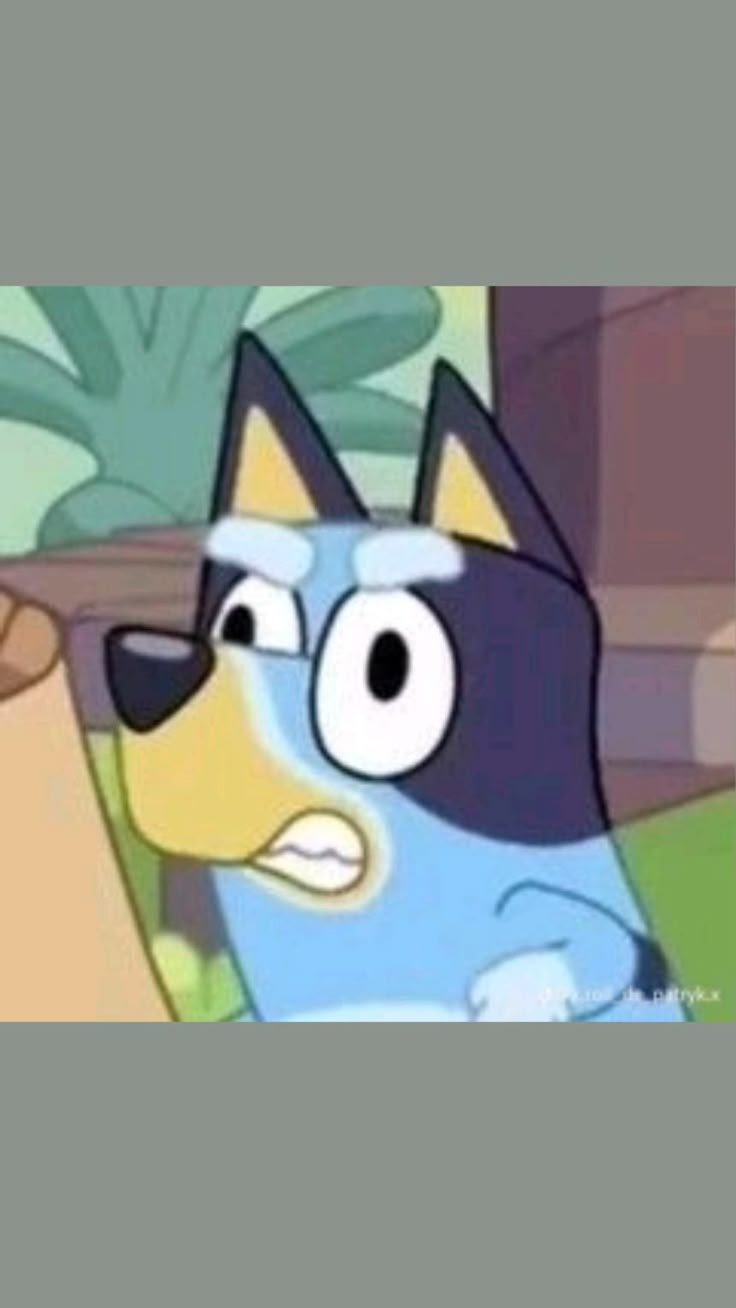 Bluey Character Reaction Gifs Perfectly Capture Every Feeling